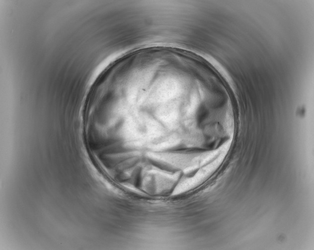 X0000090481341200708102148