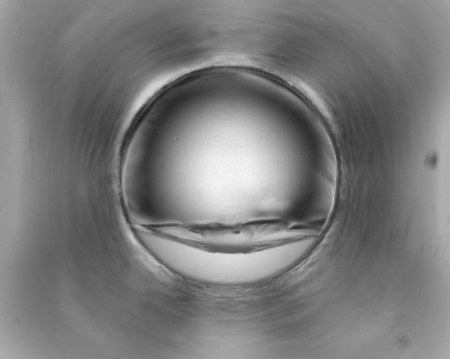 X0000090481342200708102148