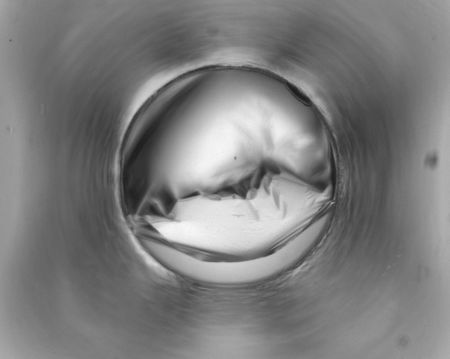 X0000090481343200708102148