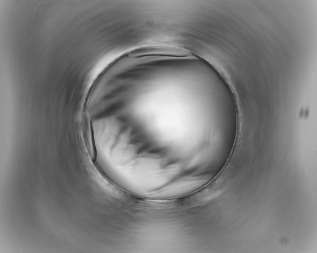 X0000090481344200708102148