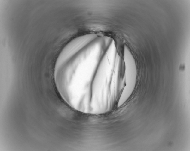 X0000090481345200708102147
