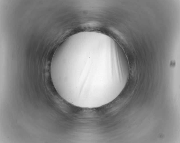 X0000090481346200708102147