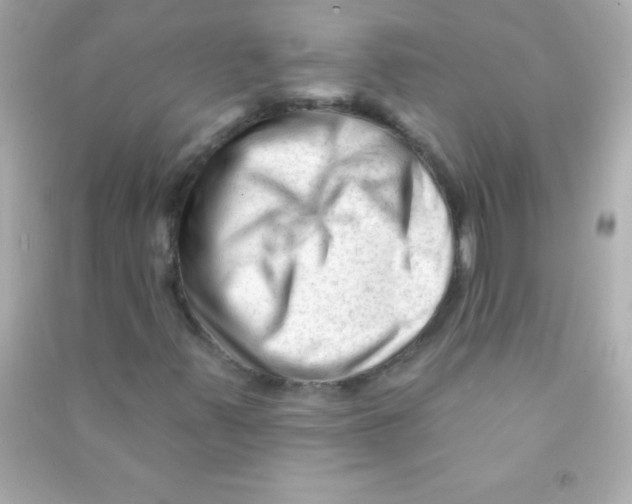 X0000090481347200708102147