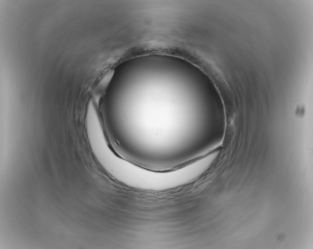 X0000090481348200708102147