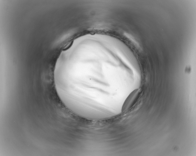 X0000090481350200708102147