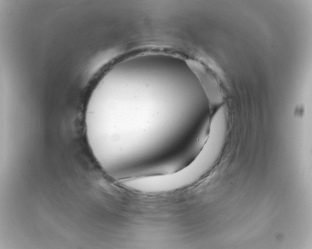X0000090481352200708102147
