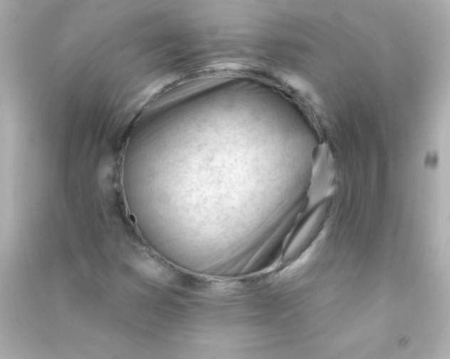X0000090481353200708102147