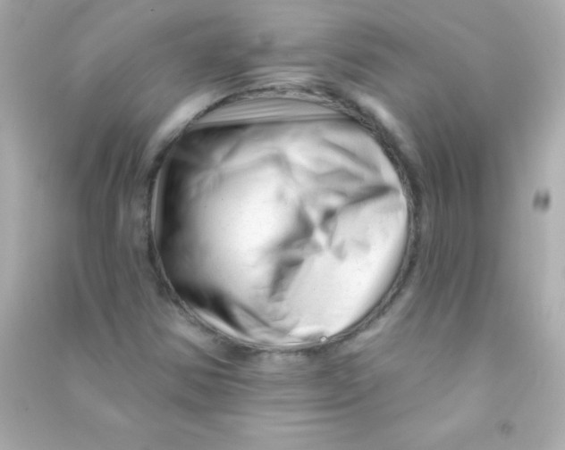 X0000090481354200708102147