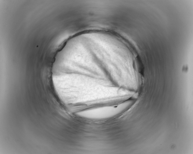 X0000090481355200708102147
