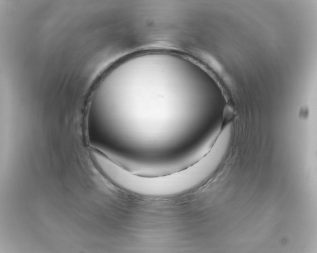 X0000090481356200708102147