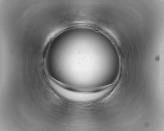 X0000090481357200708102147