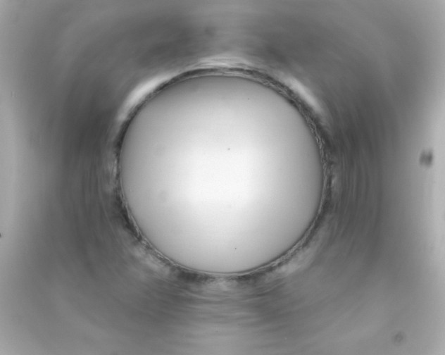 X0000090481358200708102147
