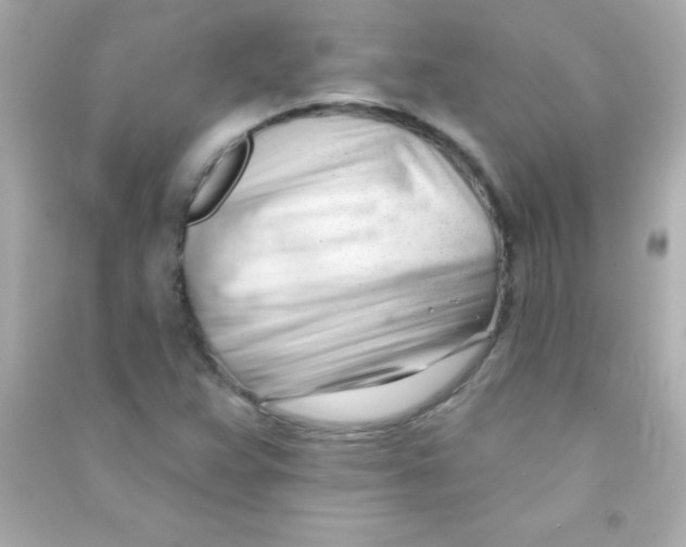 X0000090481359200708102147