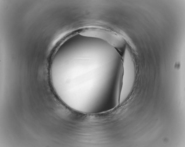 X0000090481360200708102147
