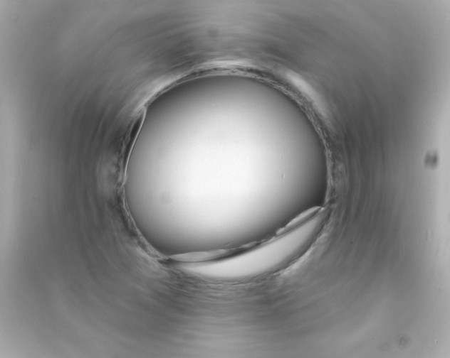 X0000090481361200708102147