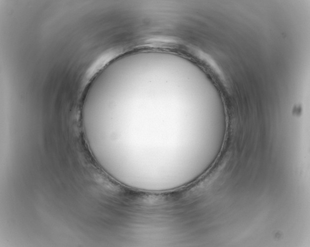 X0000090481362200708102147