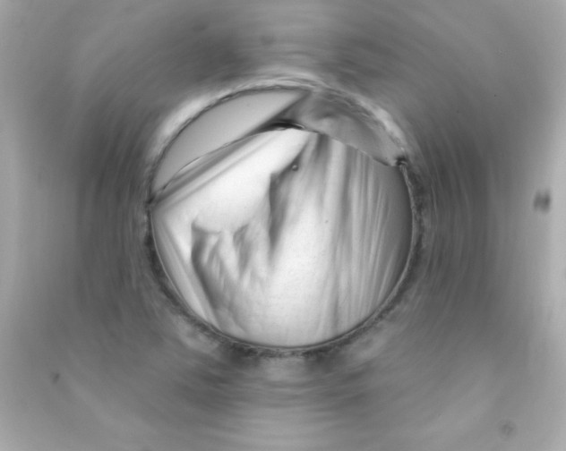 X0000090481363200708102147