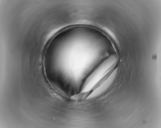 X0000090481364200708102147