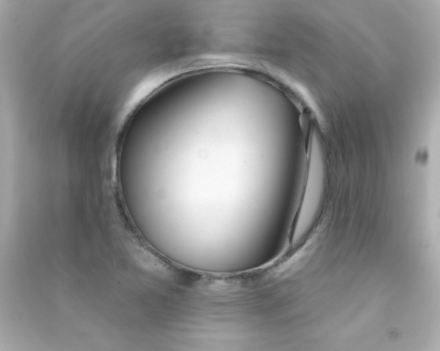 X0000090481365200708102147
