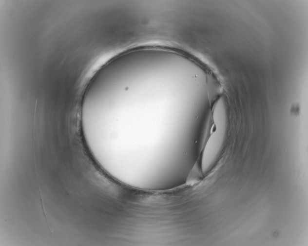 X0000090481367200708102147