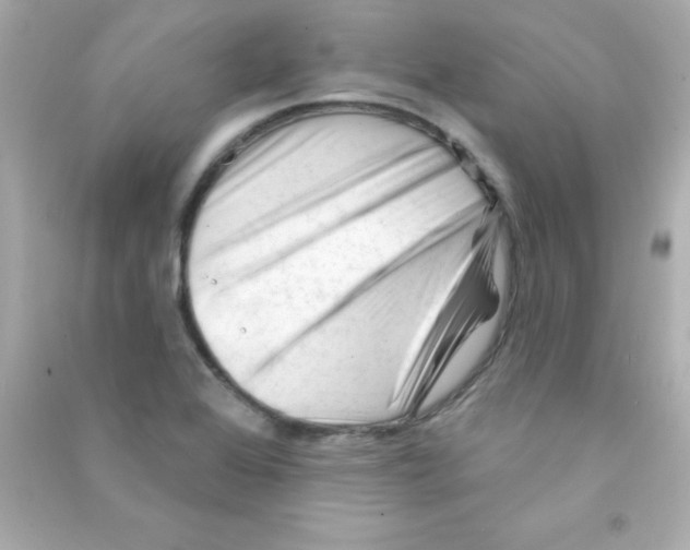 X0000090481368200708102147