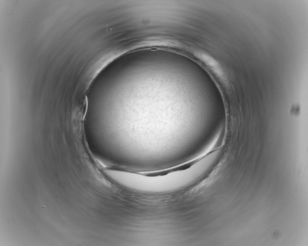 X0000090481369200708102147