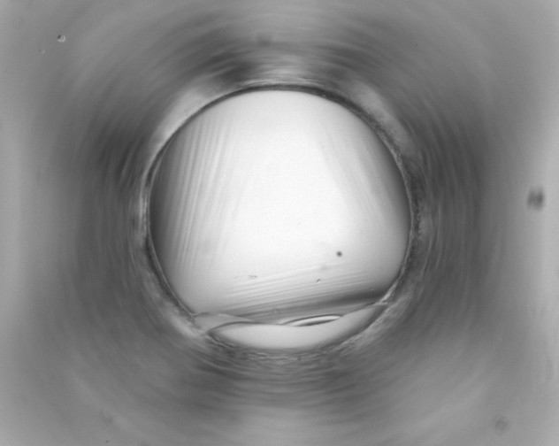 X0000090481370200708102147