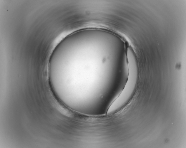 X0000090481371200708102147