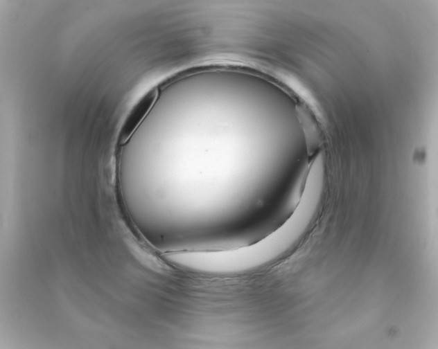 X0000090481372200708102147