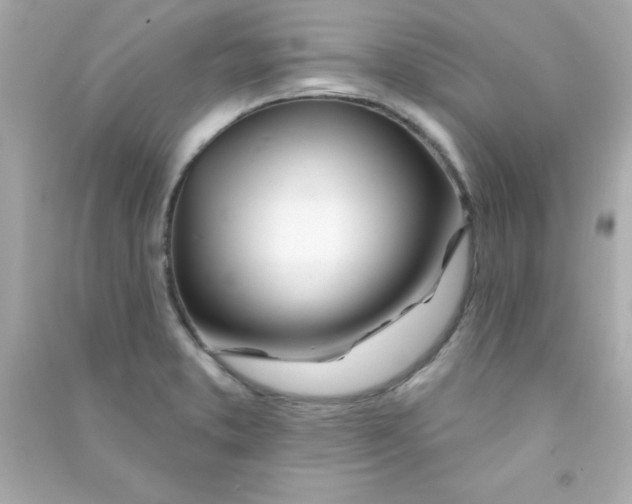 X0000090481373200708102146