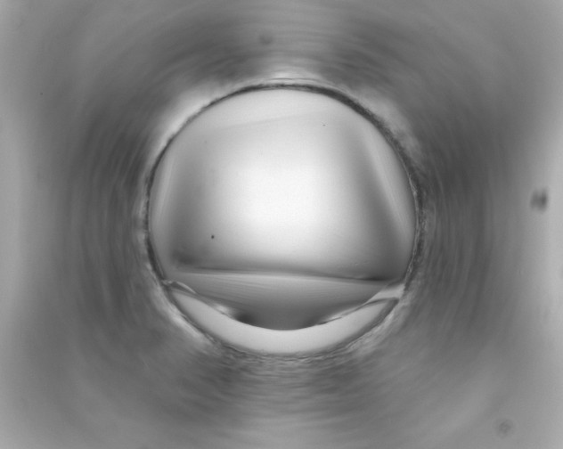 X0000090481374200708102146
