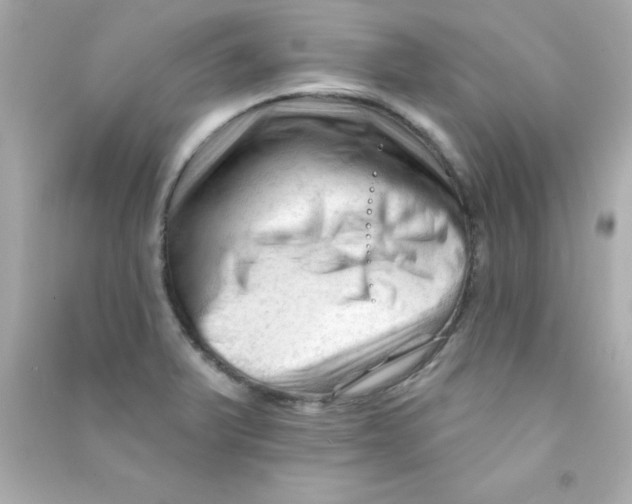 X0000090481375200708102146