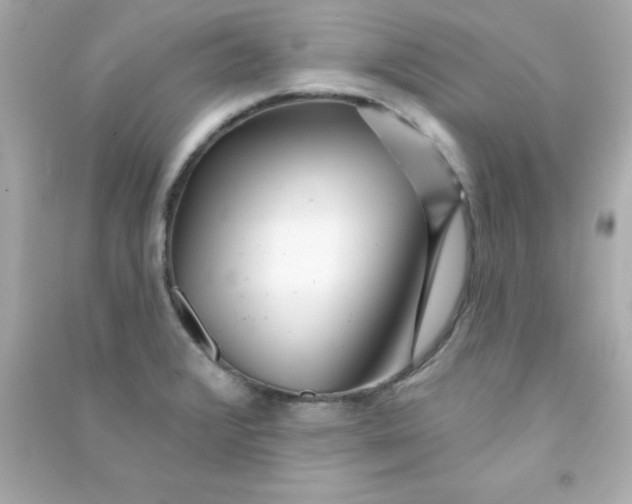 X0000090481376200708102146