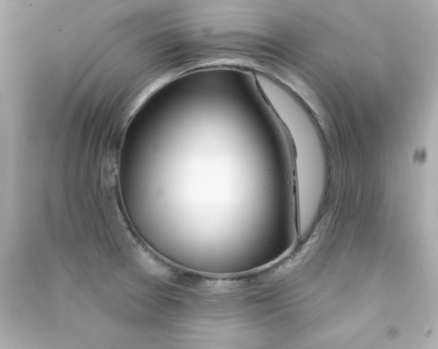 X0000090481377200708102146