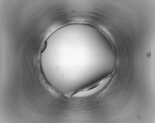 X0000090481378200708102146