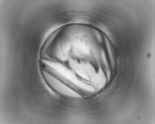 X0000090481379200708102146