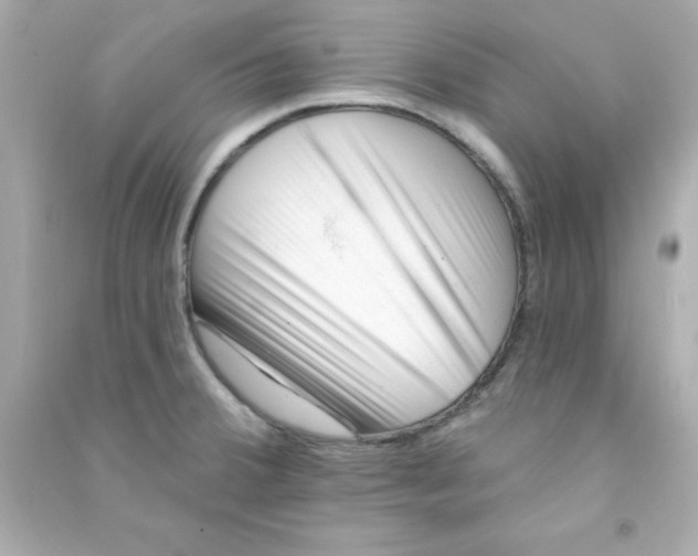 X0000090481380200708102146