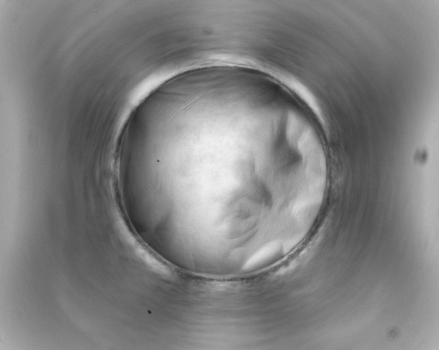 X0000090481381200708102146