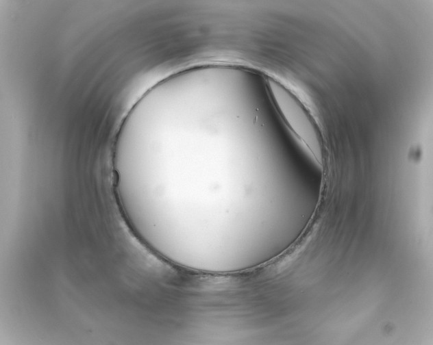 X0000090481382200708102146