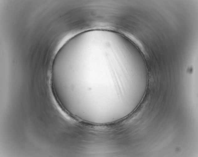 X0000090481383200708102146