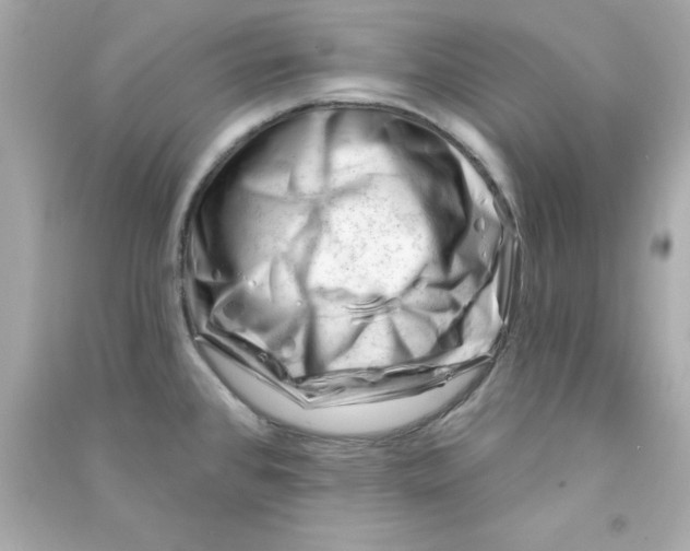 X0000090481384200708102146