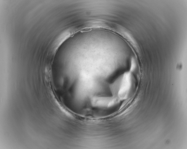 X0000090481385200708102146