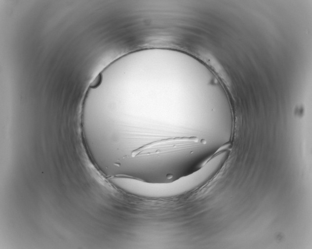 X0000090481386200708102146