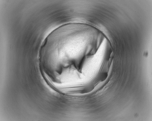 X0000090481387200708102146