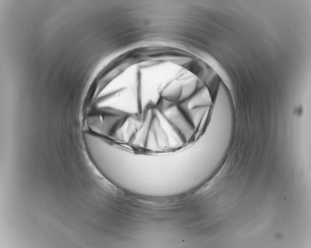 X0000090481388200708102146