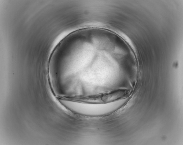 X0000090481389200708102146