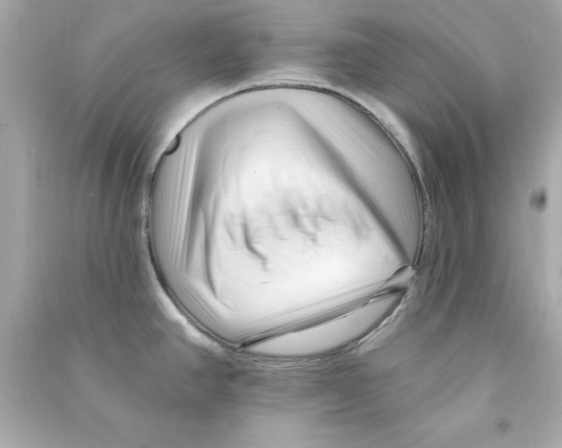 X0000090481390200708102146