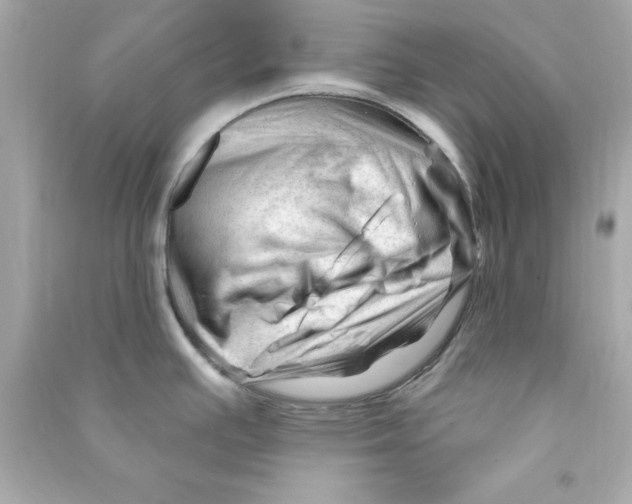 X0000090481391200708102146