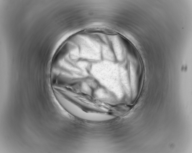 X0000090481392200708102146