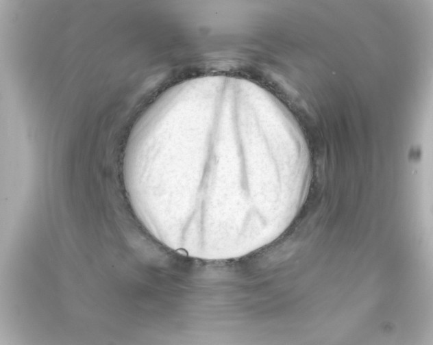 X0000090481393200708102146